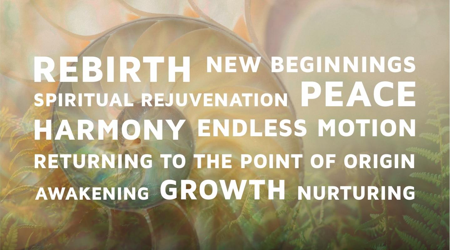 Rebirth, New Beginnings, Spiritual Rejuvenation, Peace, Harmony, Endless Motion, Returning to the Point of Origin, Awakening, Growth, Nurturing