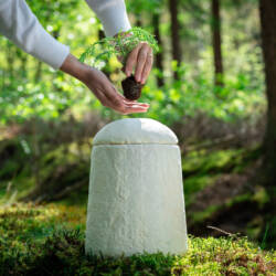 Biodegradable & Eco-Friendly Urns
